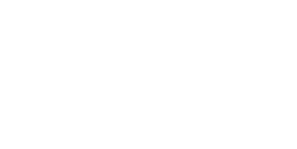 Logo safeowner white
