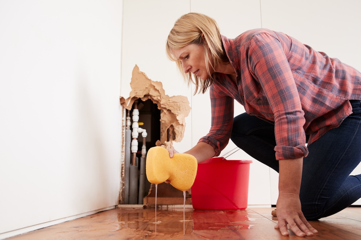 How much does water mitigation cost?